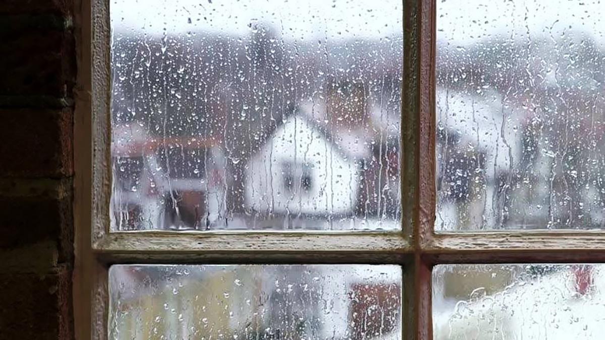 МЧС предупредило о сильных дождях и порывистом ветре в Сочи