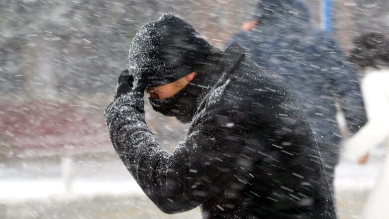 МЧС предупредило о сильном ветре, дожде и мокром снеге в Москве 2 января