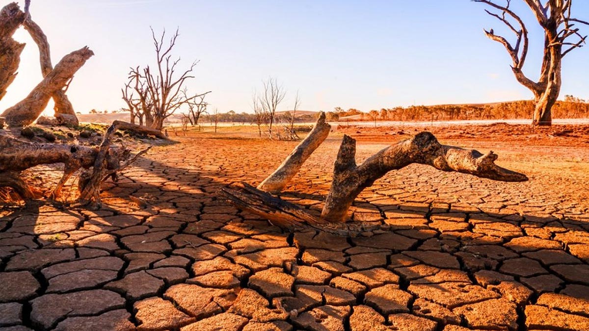 Ученые связали нападение гуннов на Рим с экстремальными засухами