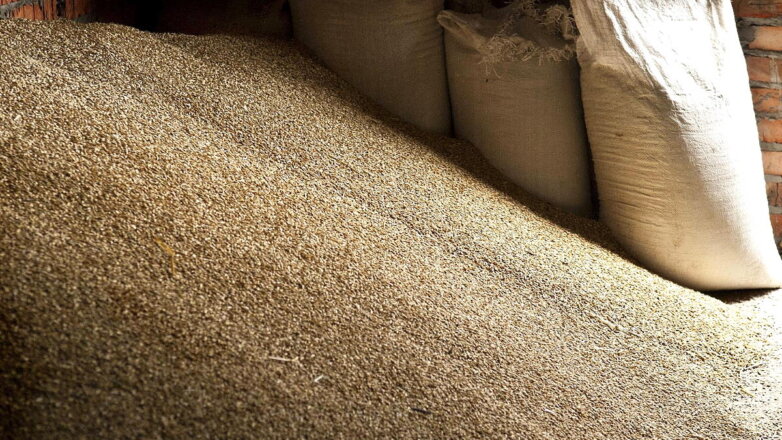 Россия отправит в Ливан тысячи тонн пшеницы и нефтепродуктов