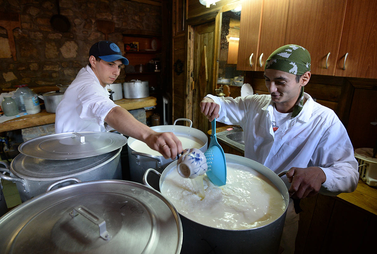 Рабочие заливают сыворотку в молоко во время производства сыра на ферме