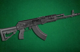 "Рособоронэкспорт": производство автоматов АК-203 будет полностью локализовано в Индии