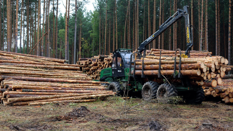 Правительство России продлило поддержку лесопромышленным предприятиям