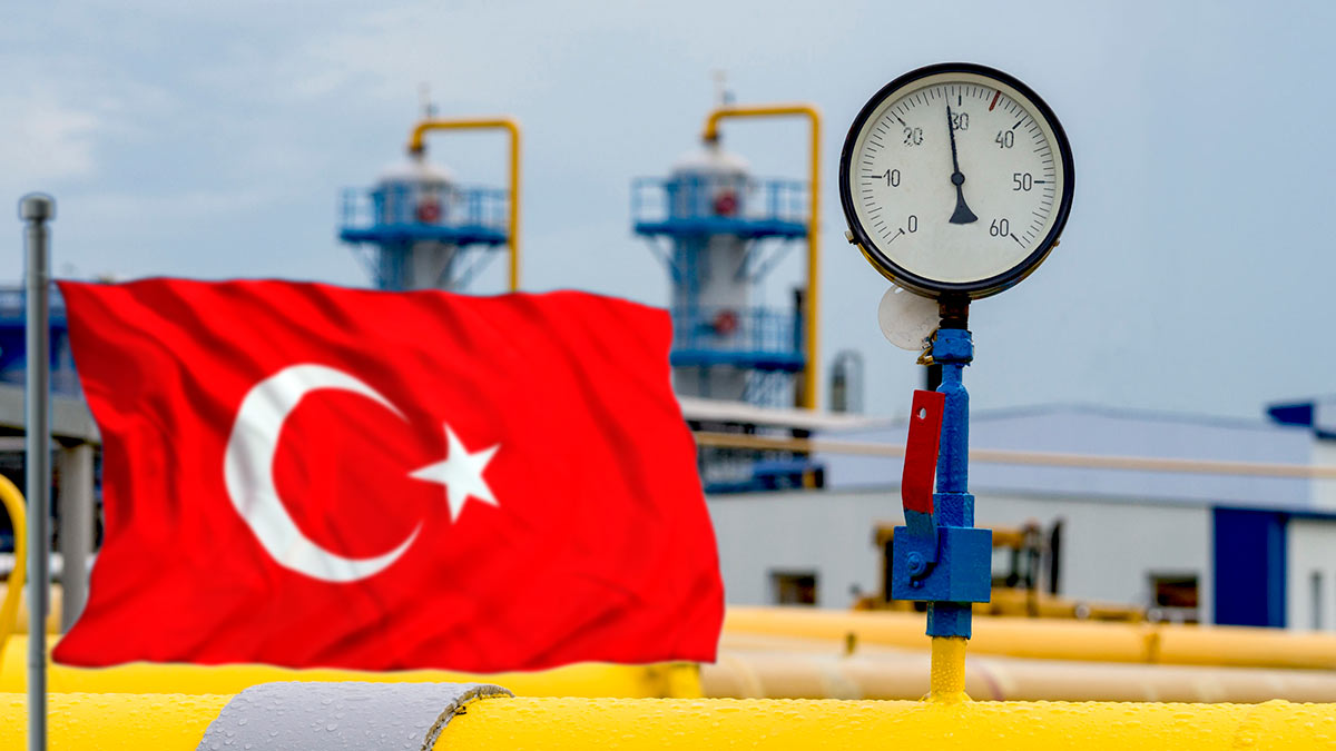 Reuters: Турция договорилась с Россией об отсрочке платежей за газ на $600 миллионов