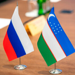 О нарушениях в РФ прав мигрантов из Узбекистана заявили российскому послу в МИД страны
