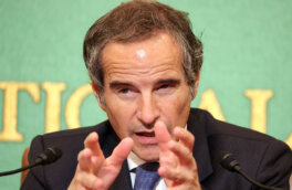 Глава МАГАТЭ: главная забота – недопустить атак на АЭС "Бушер"