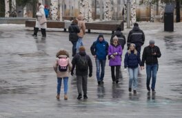 В Москве 25 февраля ожидается облачная погода с осадками и до +2°C