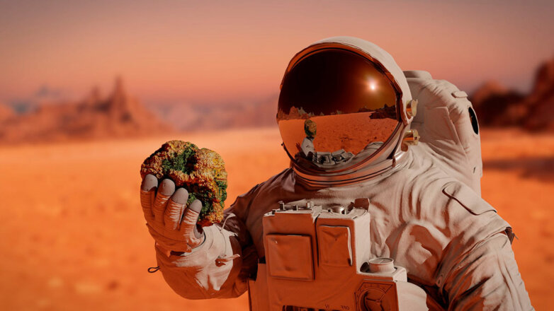 Станет шагом вперед: космонавт оценил идею колонизации Марса