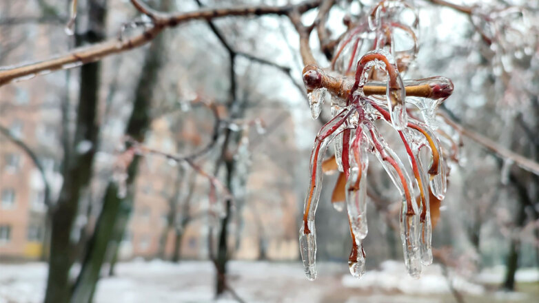 На смену ледяным дождям в центральные регионы РФ придет холодный атмосферный фронт