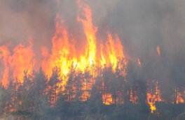 В Якутии площадь природных пожаров превысила 1 млн га