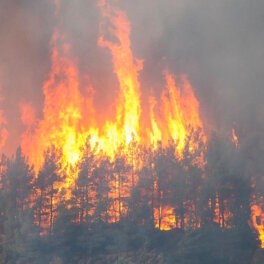 В Якутии площадь природных пожаров превысила 1 млн га