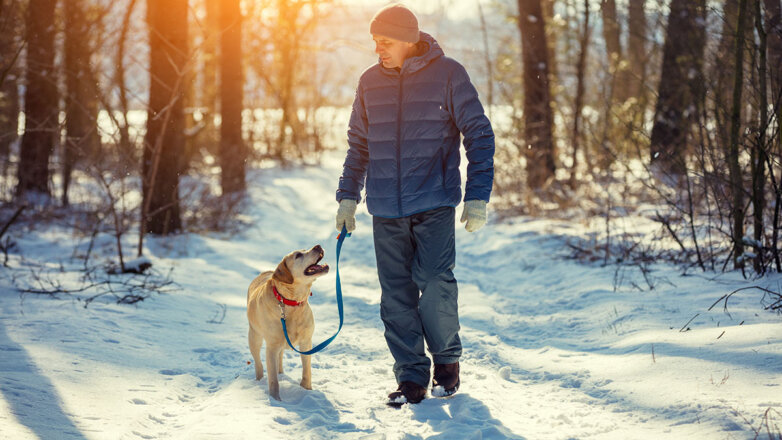 Ветеринар объяснила, как выгуливать собаку зимой