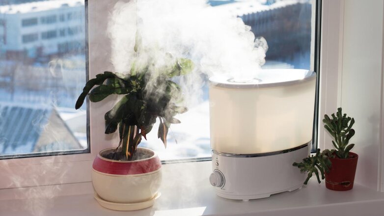 Как повысить влажность воздуха для комнатных растений: 5 рабочих способов