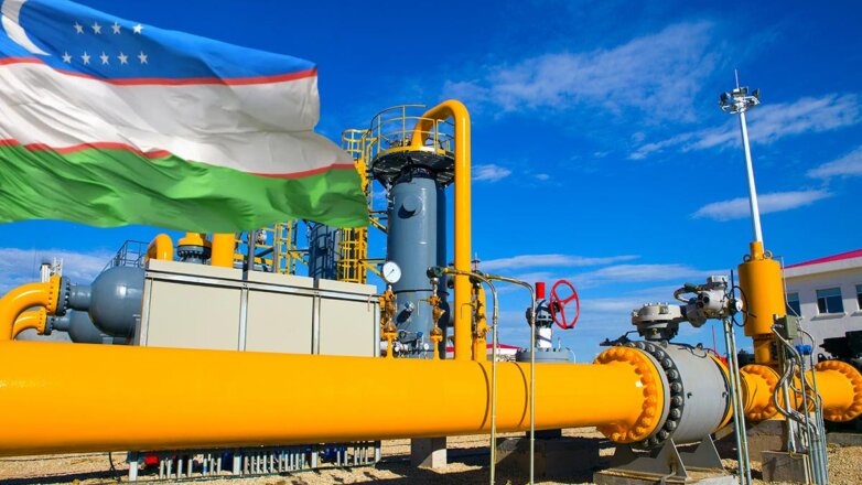 Узбекистан будет импортировать газ из России, если договорится о цене