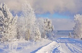 В нескольких регионах Сибири синоптики прогнозируют резкое похолодание