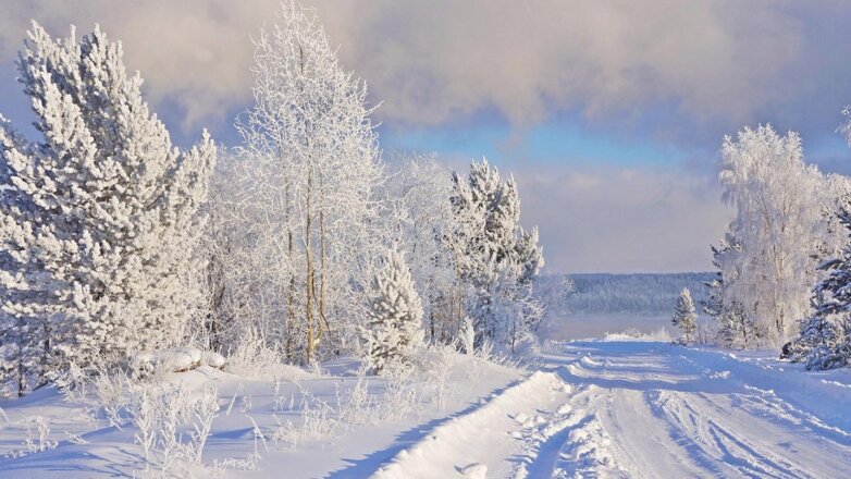 Морозы до минус 40°С ожидаются в Новосибирской области в ближайшие семь дней
