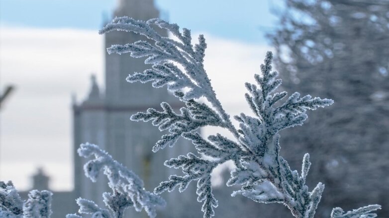 Аномальные морозы придут в Москву в первые дни новогодних каникул
