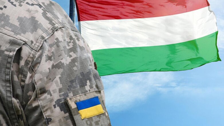 В Будапеште заявили о "жесткой" мобилизации закарпатских венгров в армию Украины