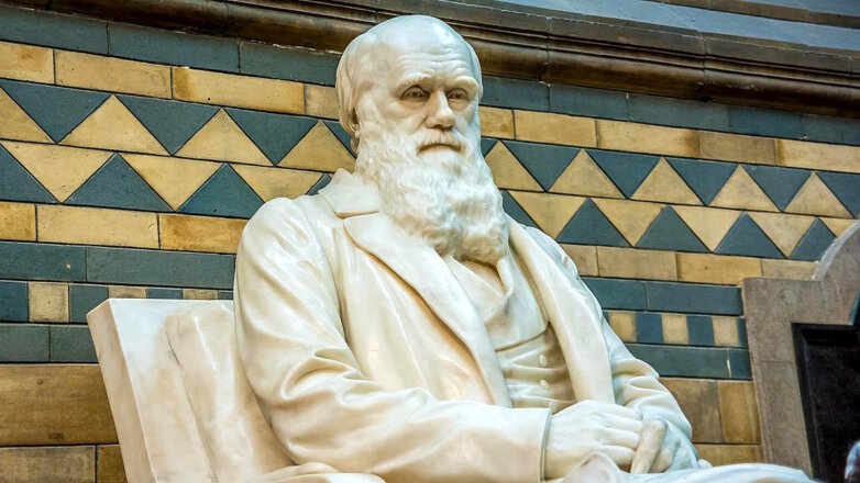 Какой сегодня праздник: 12 февраля – Международный день Дарвина