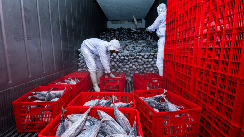 Разрешение на экспорт рыбы в Китай получили 27 российских предприятий