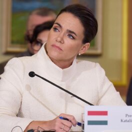В Венгрии заявили, что Украина для вступления в ЕС должна гарантировать права нацменьшинств