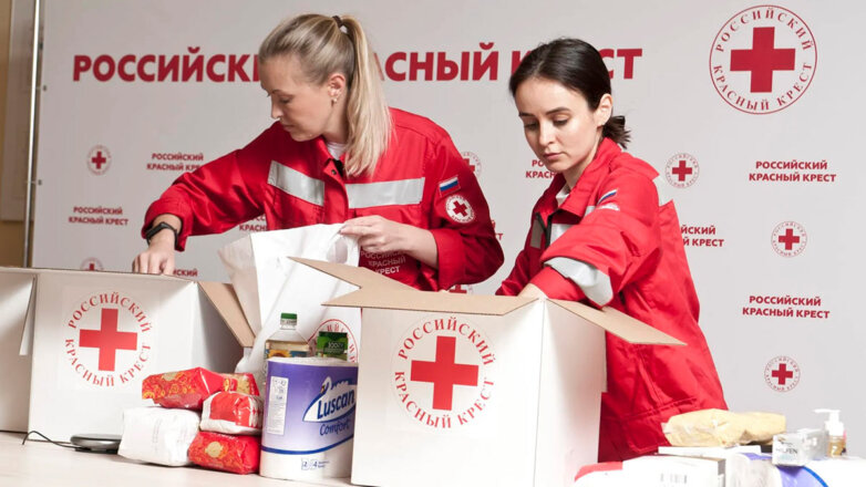 В Российском Красном Кресте рассказали об оказанной с февраля 2022 года помощи