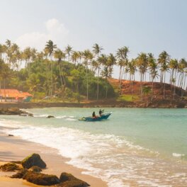 Визы на Шри-Ланку станут платными для российских туристов с лета