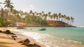 Визы на Шри-Ланку станут платными для российских туристов с лета