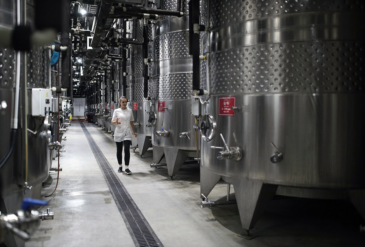Производство вина на территории винодельни "Кубань-Вино"