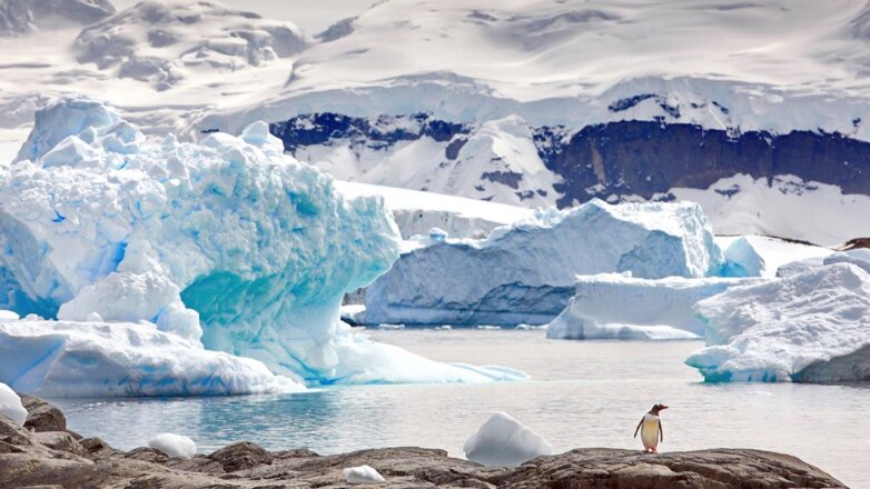 Морской лед в Антарктиде потерял максимум объема за всю историю наблюдений