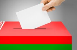 В Белоруссии вступили в силу поправки в Избирательный кодекс