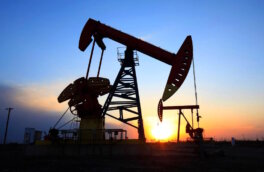 Сколько у России нефти, рассказали в Минприроды