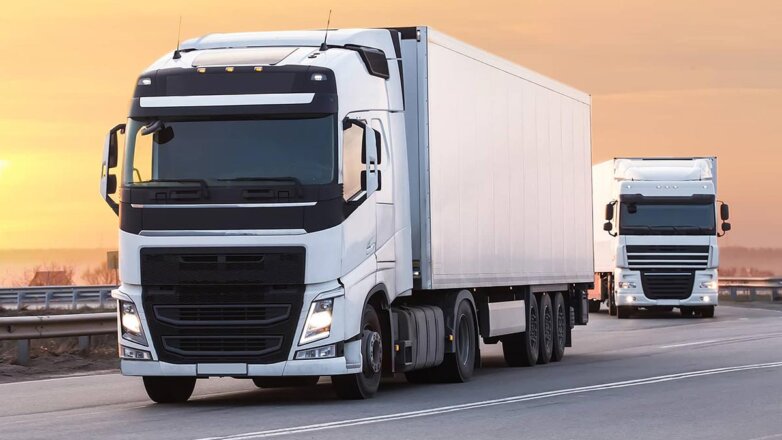 Минтранс: доля российских автоперевозчиков грузов из стран ЕС может вырасти до 45%