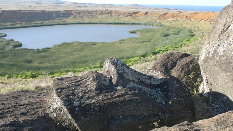 Найденная на острове Пасхи статуя моаи озадачила ученых
