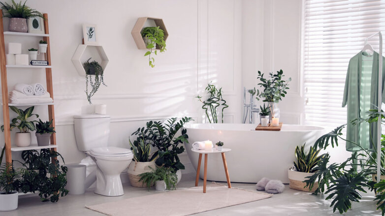 Домашние тропики: какие комнатные растения будут комфортно жить в ванной