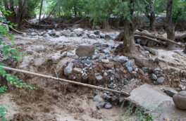 Власти Аланьи предупредили об опасности схода селевых потоков из-за мощных осадков