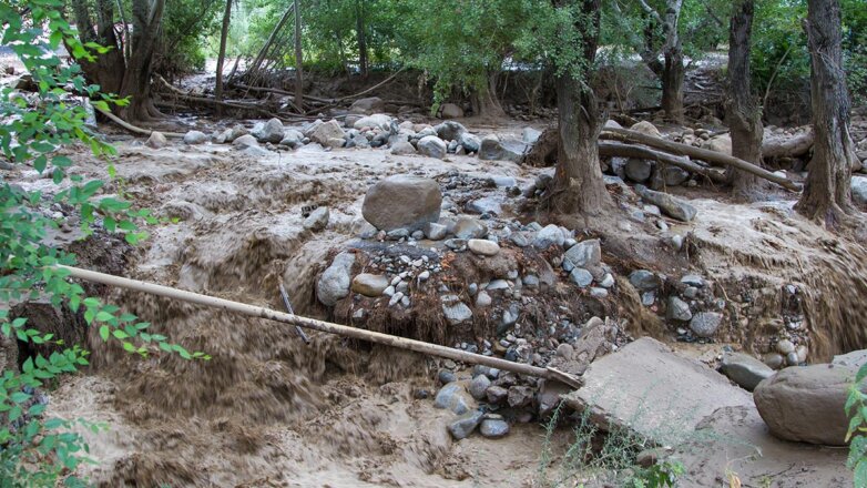 Власти Аланьи предупредили об опасности схода селевых потоков из-за мощных осадков