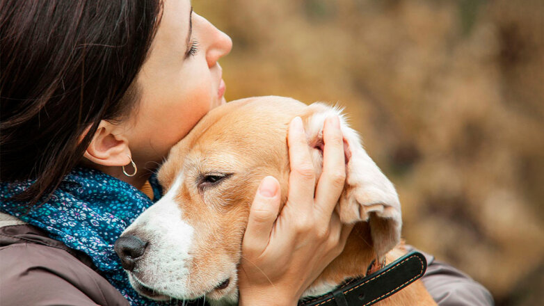 Что делать, если собака "ревнует" хозяина к другим: советы кинолога