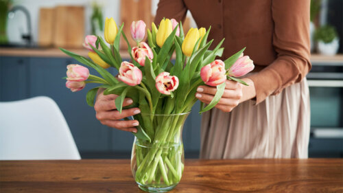 Тюльпаны простоят дольше: 4 способа сохранить свежесть букета