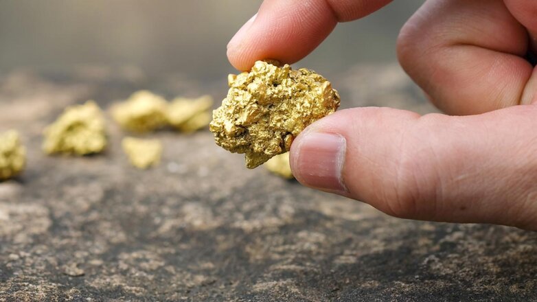 Туристам в России могут разрешить добывать золото