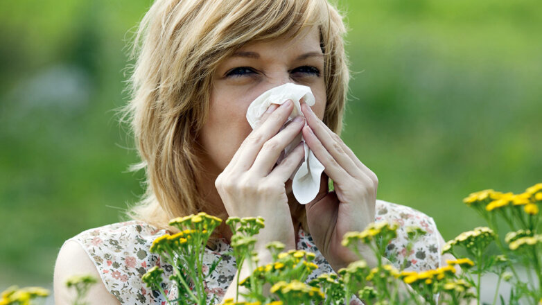 Вакцина от аллергии на пыльцу может войти в российский календарь прививок