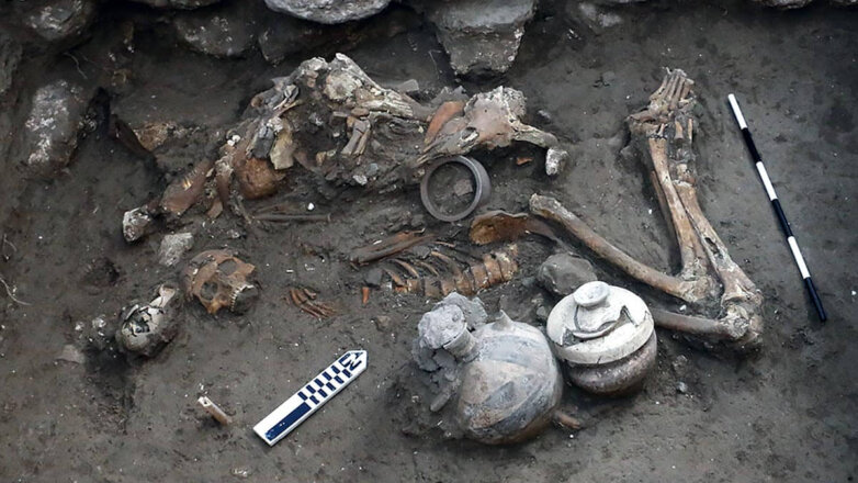 В Армагеддоне нашли череп со следами трепанации возрастом 3500 лет