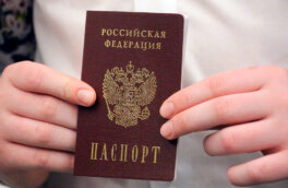 Более 2800 человек лишили российского гражданства с 2023 года за преступления и непостановку на воинский учет