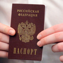 Более 2,8 тысячи человек лишили российского гражданства с 2023 года за преступления и непостановку на воинский учет