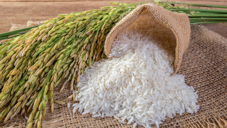 Власти Крыма рассматривают инвестпроекты по увеличению производства риса