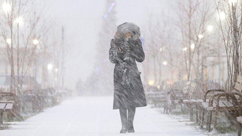Петербуржцев предупредили о вечернем снегопаде