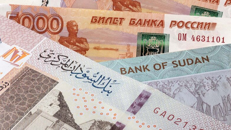 Россия и Судан хотят перейти на расчеты в национальных валютах