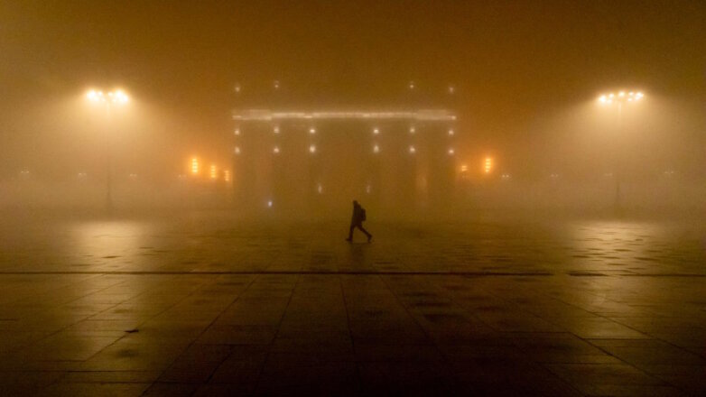 Жителей Москвы предупредили о ночном тумане