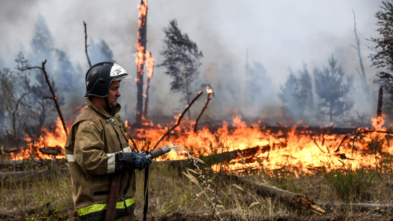 Названы четыре округа России, которым грозит чрезвычайная пожарная опасность