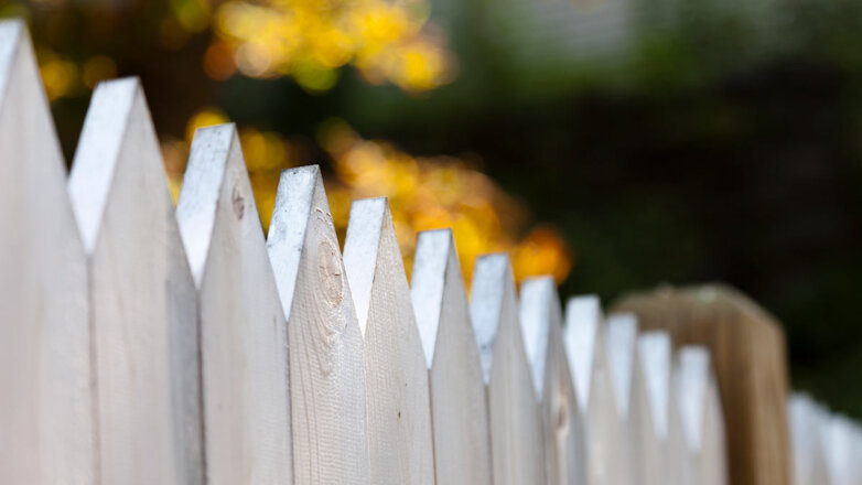 В какой цвет покрасить забор, чтобы сад выглядел больше: 3 универсальных варианта
